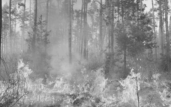 1944-forest-fire