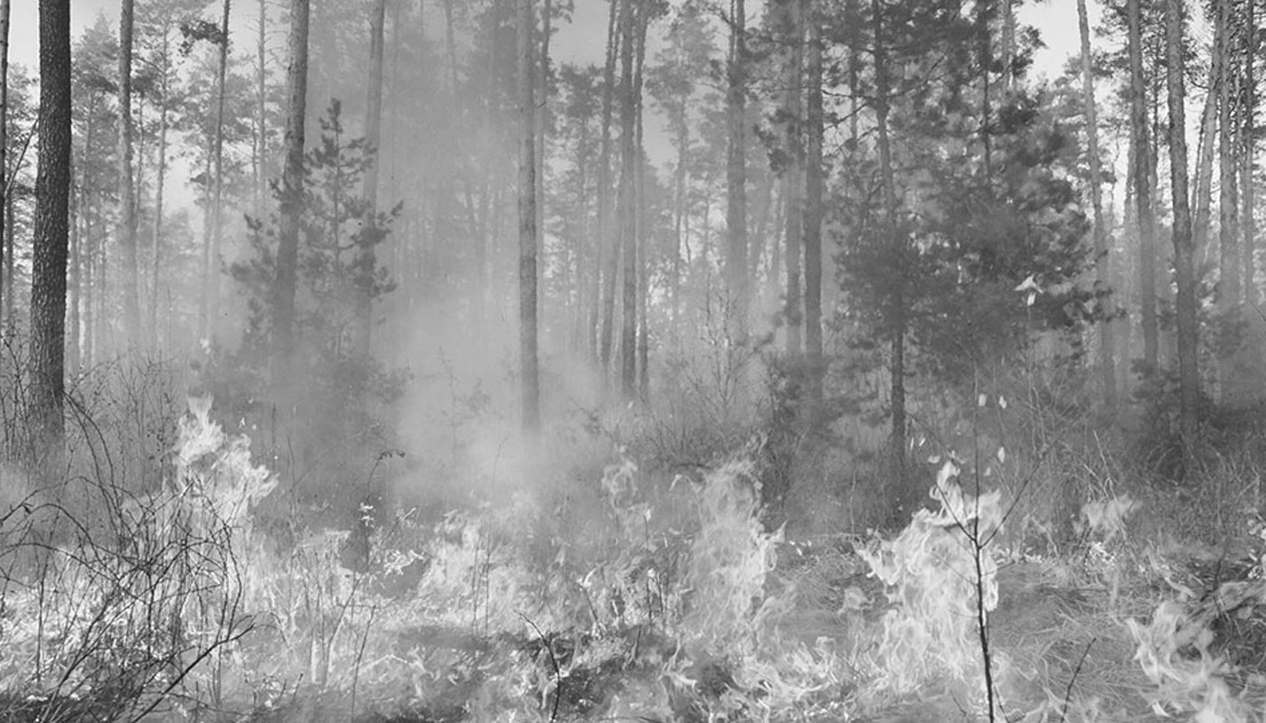 1944-forest-fire